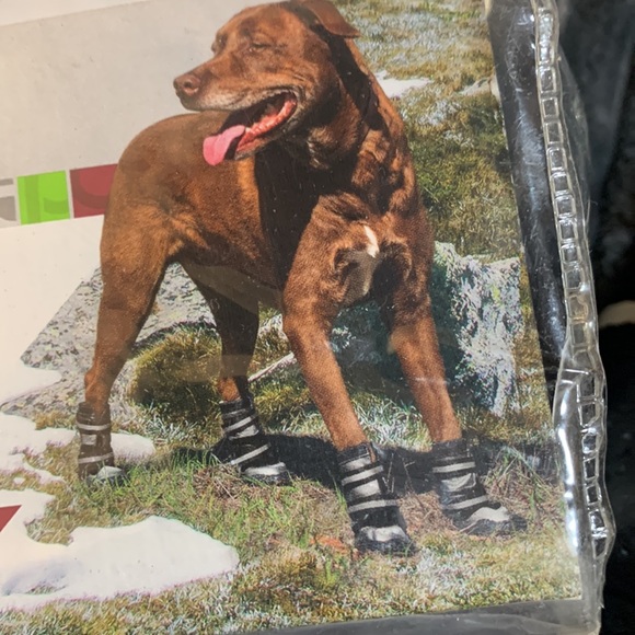 Like new Good2Go, M, Dog Boots - Picture 4 of 7